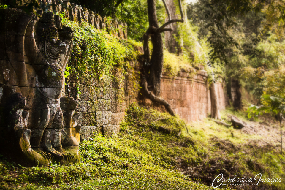 Angkor photography Garuda