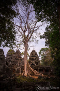 Banteay-Kdei angkor wat_2451